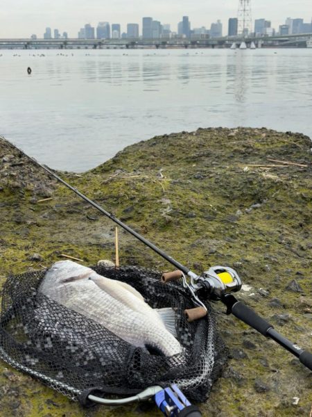 生命感がすごい淀川