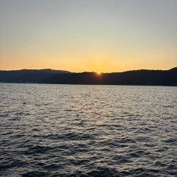 あけおめ小浦一文字