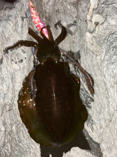 寒さを吹き飛ばすアタリ