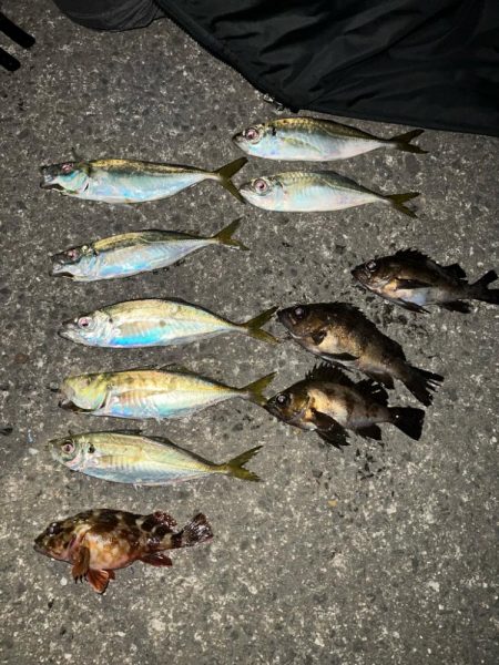 仕事終わりにアジング