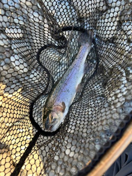 北方マス釣り場へ