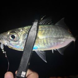 やっとこさ! 笑笑