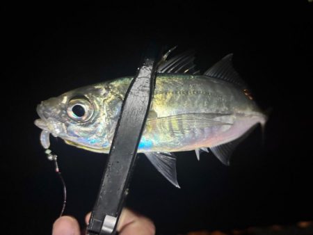 やっとこさ! 笑笑