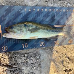 温かくなったら…😁