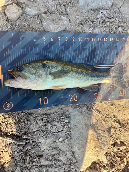 温かくなったら…😁