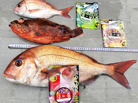 冬旬メダイ釣りですが・・・。