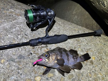 深いレンジで一瞬の時合い!アミパターンなのか!?