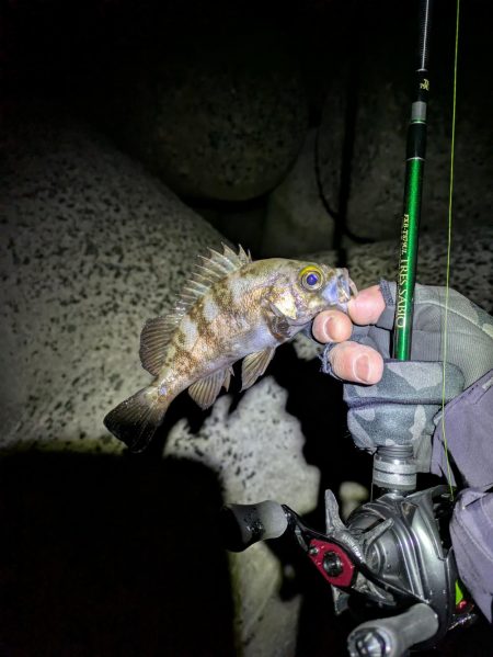 タフコンメバリング