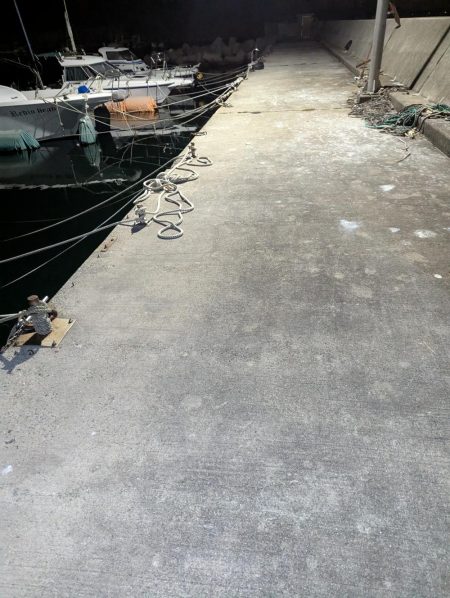 新ロッドの入魂