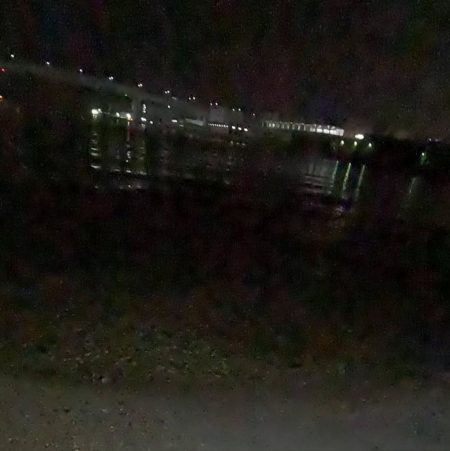 2025年初釣果 湾奥シャローシーバス