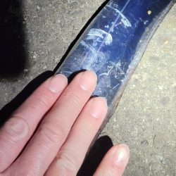 何とかボウズ回避