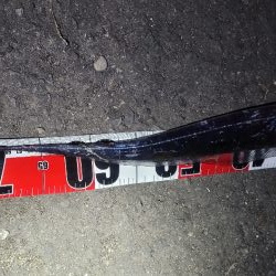 運良く1匹キャッチ