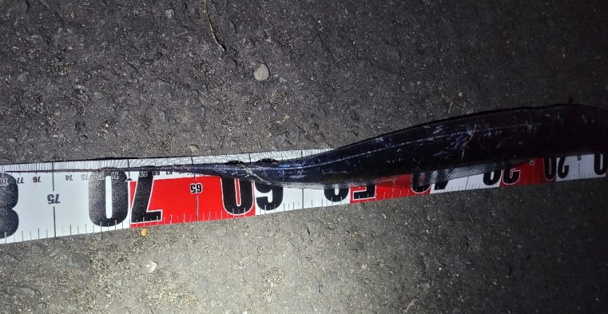 運良く1匹キャッチ