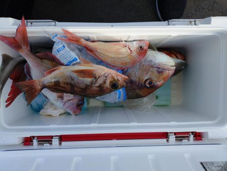 マダイ５目？ジギング