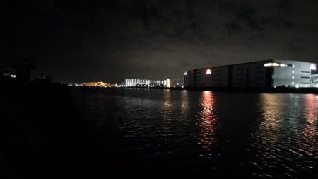 旧江戸川チヌ【2025初釣果】