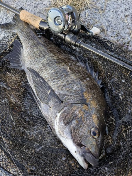 広島敷石チニング