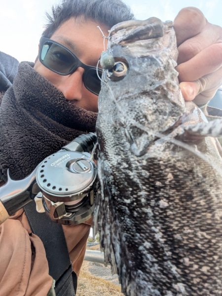 広島チニングでクロソイ！