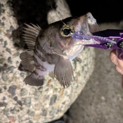 寝付けないのでちょっと海まで