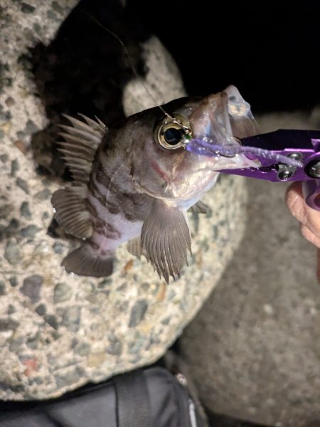 寝付けないのでちょっと海まで