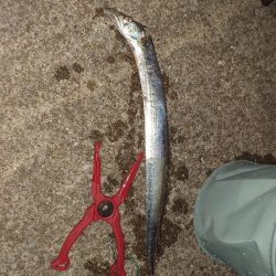 五島列島からの宮崎大移動