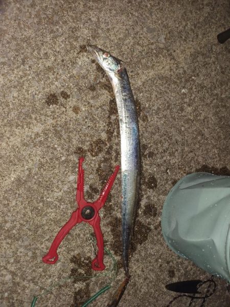 五島列島からの宮崎大移動