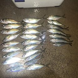 やっぱりカゴ天秤