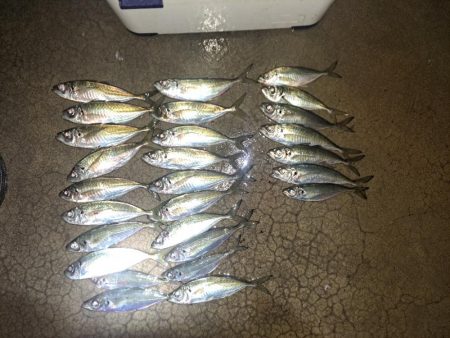 やっぱりカゴ天秤