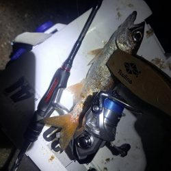 地合い30分で…