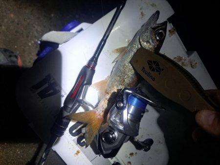 地合い30分で…