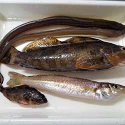 大寒の時期にでかいキス