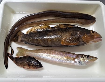 大寒の時期にでかいキス