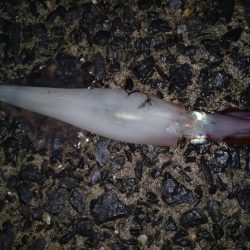 水温低くなってきた