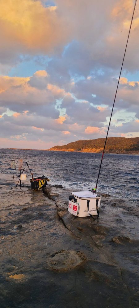 和歌山市江(吉丸渡船)でグレ釣り