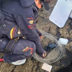 和歌山市江(吉丸渡船)でグレ釣り