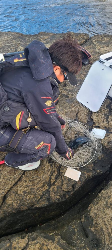 和歌山市江(吉丸渡船)でグレ釣り