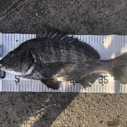 イチノ兄弟、釣果!