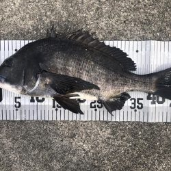 イチノ兄弟、釣果!