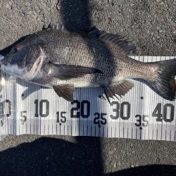 イチノ兄弟、釣果!