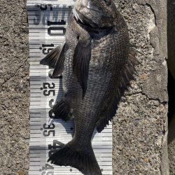 イチノ兄弟、釣果!