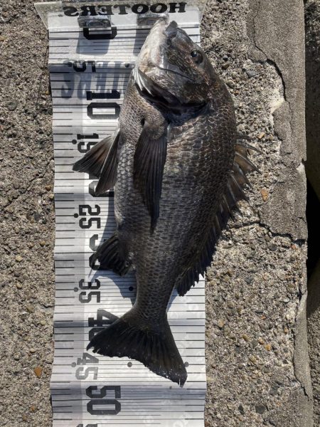 イチノ兄弟、釣果!