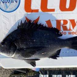 チヌフカセ釣り