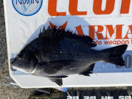 チヌフカセ釣り