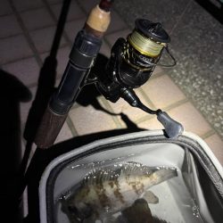 アフターメバル