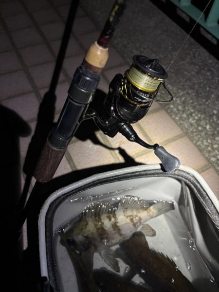 アフターメバル