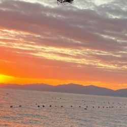 釣り納めと釣り始め!