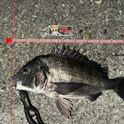 2025年初釣りの結果は？