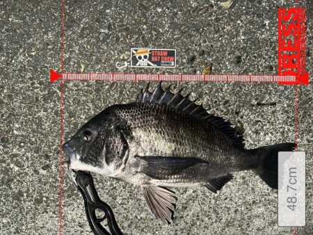 2025年初釣りの結果は？