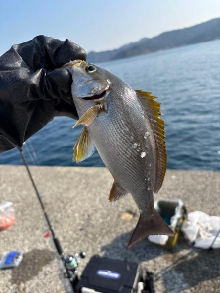 あけおめ小浦一文字