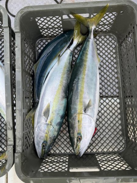 2025年　初🚢釣り&#x…