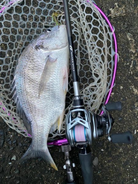 爆風チニング！